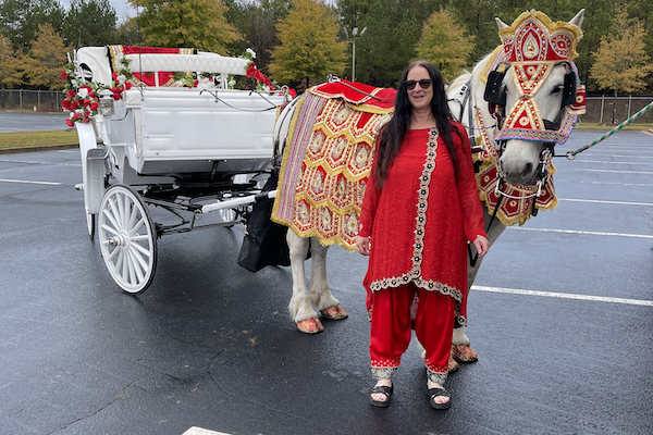 indian wedding baraat horse carriage