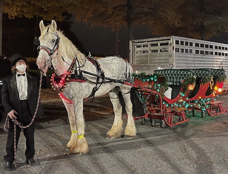 sleigh horse carriage