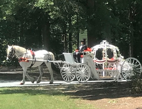 wedding cinderella horse carriage